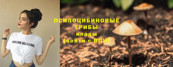 крисы Бородино