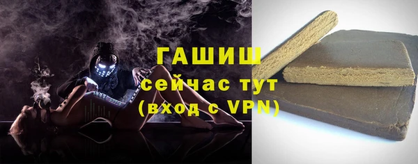 крисы Бородино