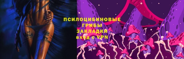 крисы Бородино