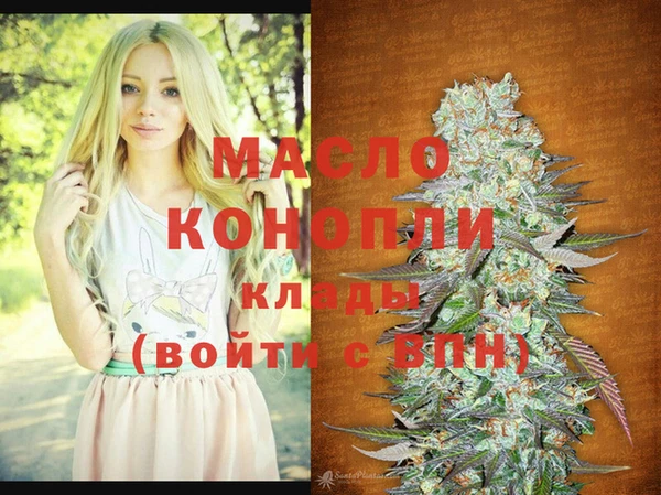 крисы Бородино