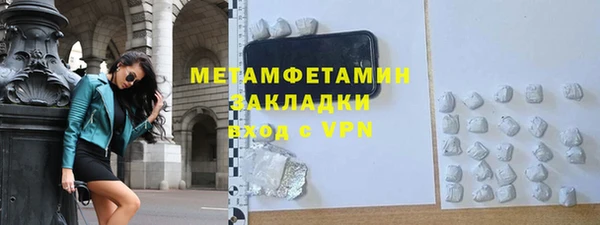 крисы Бородино