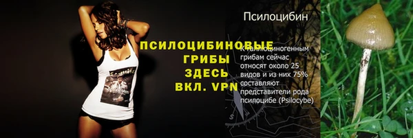 крисы Бородино