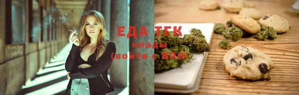 крисы Бородино