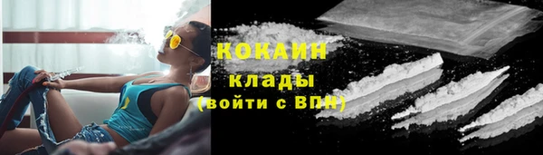 крисы Бородино