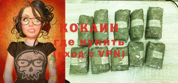 крисы Бородино