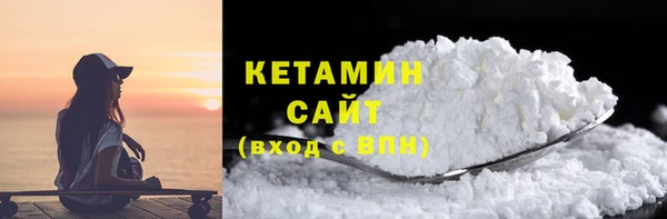 крисы Бородино