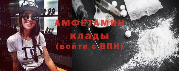 крисы Бородино
