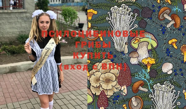 крисы Бородино