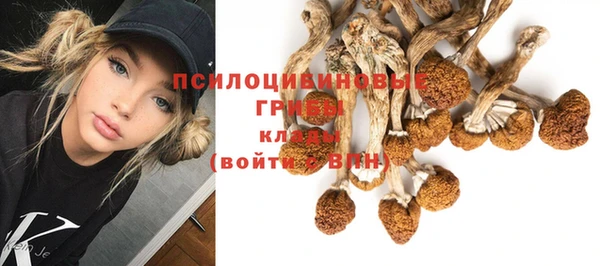 a pvp Бугульма